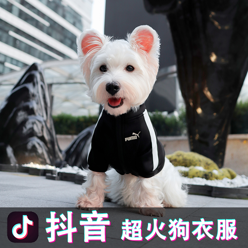 法斗春秋款小型犬狗狗衣服