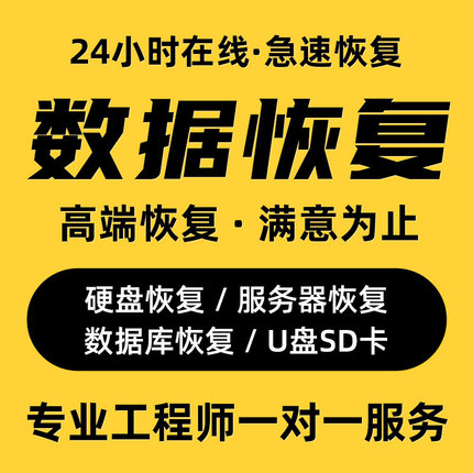 电脑U盘内存sd卡照片文件数据恢复软件移动硬盘修复开盘维修服务