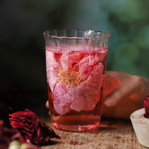 于洛先生农科院云南有机墨红玫瑰