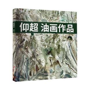 RT69 仰超油画作品云南社艺术图书书籍 包邮
