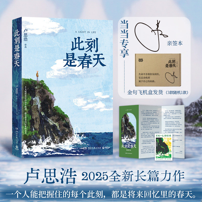 此刻是春天 卢思浩2025全新长篇力作  卢思浩的书