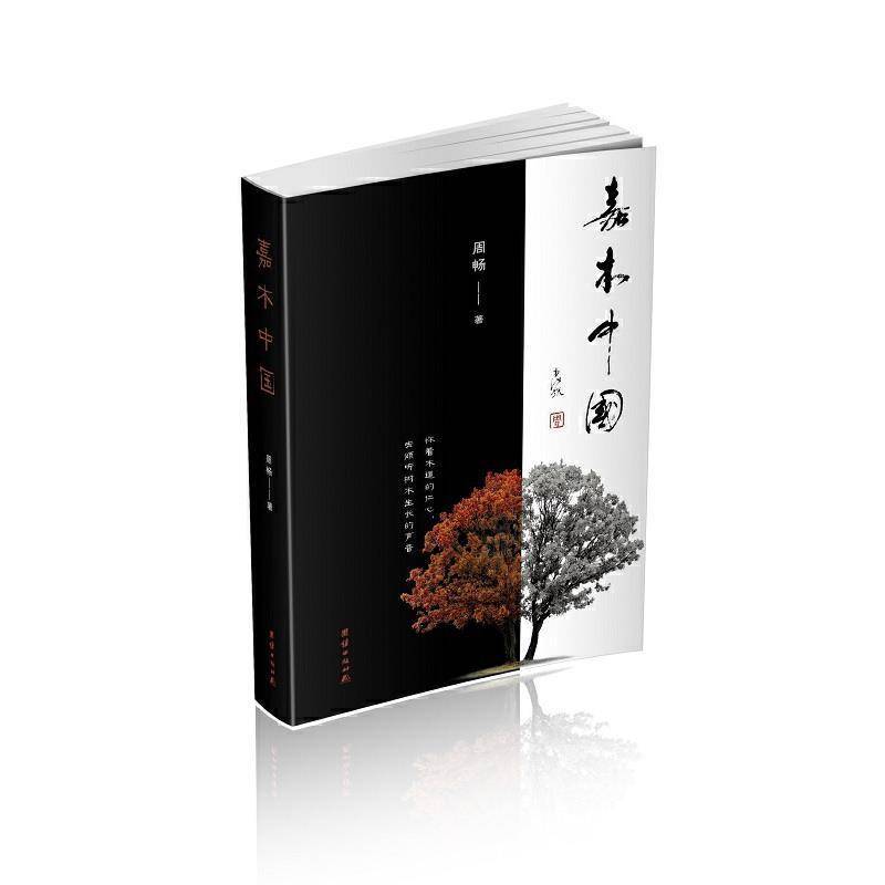 RT69包邮 嘉木中国团结出版社文学图书书籍