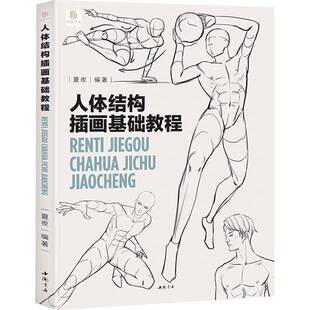 RT69包邮 人体结构插画基础教程中国书店艺术图书书籍