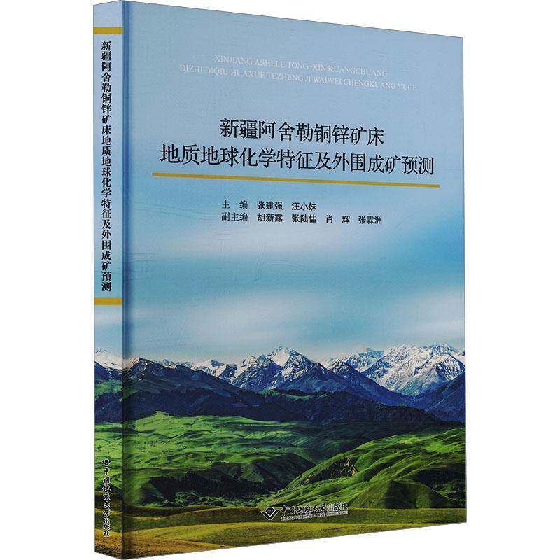 RT69包邮 阿舍勒铜锌矿床地质地球化学特征及外围成矿预测中国地质大学出版社自然科学图书书籍