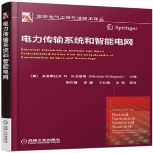 RT69包邮 电力传输系统和智能电网机械工业出版社工业技术图书书籍