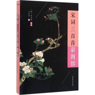 RT69包邮 宋词三百首彩图馆中国华侨出版社古籍国学图书书籍