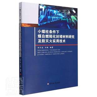 RT69包邮 小煤柱条件下煤自燃阻化封堵材料研究及防灭火实用技术吉林大学出版社工业技术图书书籍