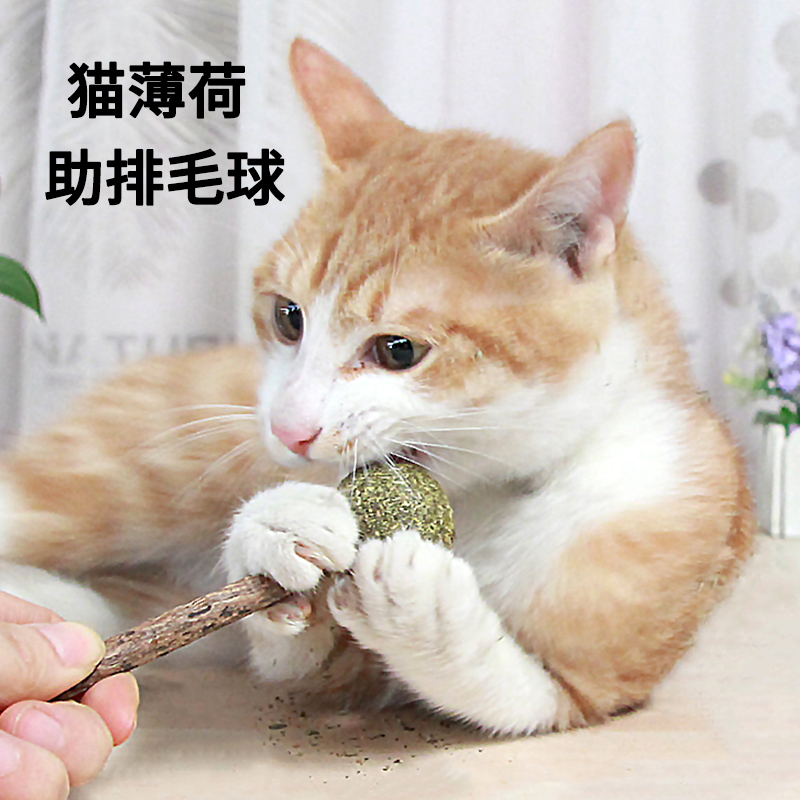 猫薄荷耐咬自嗨逗猫棒