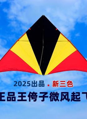 2025年新款王侉子风筝正品544伞布三角大型成人专用微风易飞高档