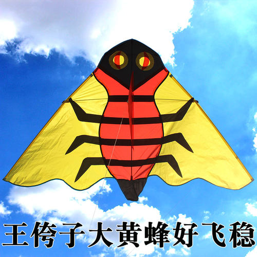 18年潍坊风筝实体店王侉子大黄蜂