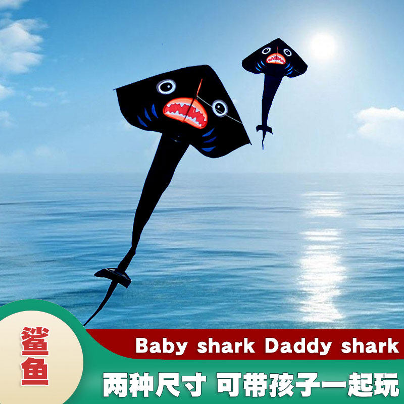 风筝特大成人22年新款金展翼14年