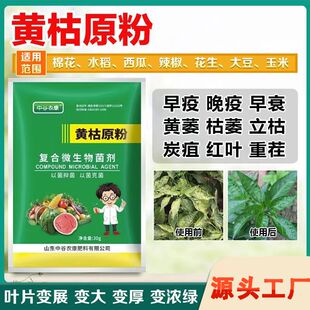 黄枯原粉复合微生物菌剂农用新型杀菌剂叶面肥枯萎立枯炭疽叶小病