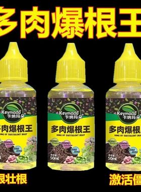 多肉爆根王快速生根液壮苗剂多肉植物通用控释养花水肥营养液正品