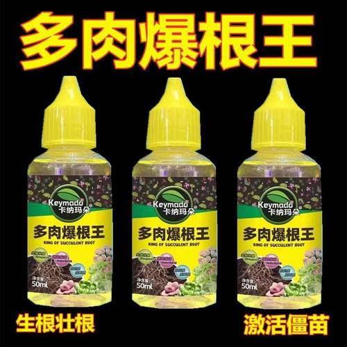 多肉爆根王快速生根壮苗剂