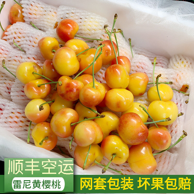 大连雷尼尔黄樱桃应季新鲜水果