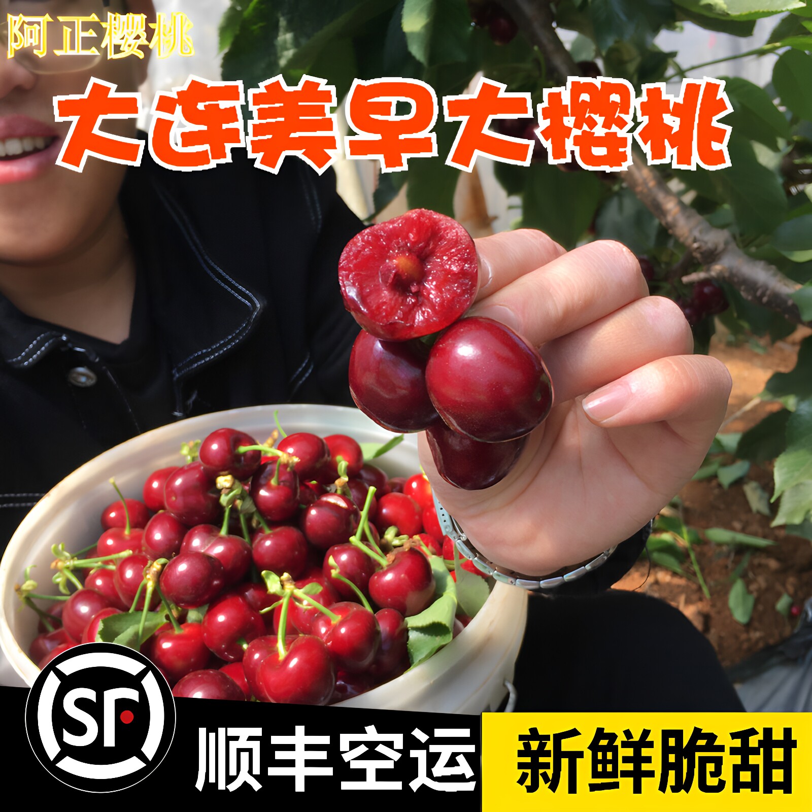 大连金州露天新鲜美早大樱桃脆甜