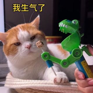 猫咪藏食玩具大嘴恐龙猫咪薄荷球磨牙棒回弹枪逗猫猫棒宠物玩具