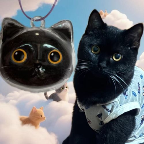 小红书同款透明猫毛收纳扭蛋挂饰钥匙扣宠物毛发纪念收纳包包挂件