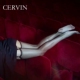 法国 窄边袜口中缝背线纯尼龙无弹力吊带长筒丝袜 CERVIN Pure