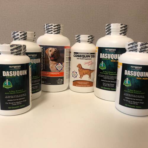 cosequinds宠物狗狗dasuquin