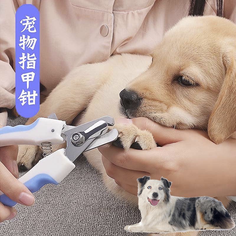 适用澳大利亚牧羊犬狗狗指甲剪磨甲器剪指甲钳子新手专用宠物用品