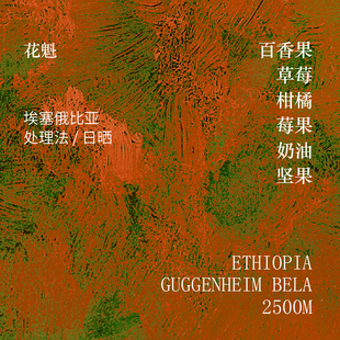 莫比乌斯咖啡 - 花魁 埃塞俄比亚  精品手冲咖啡滴滤新鲜烘焙咖啡