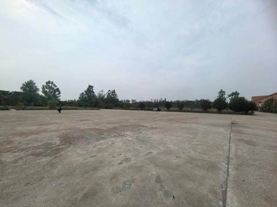 1月23日孝感新材料公司房屋、土地使用权及地上附着物网络拍卖公告