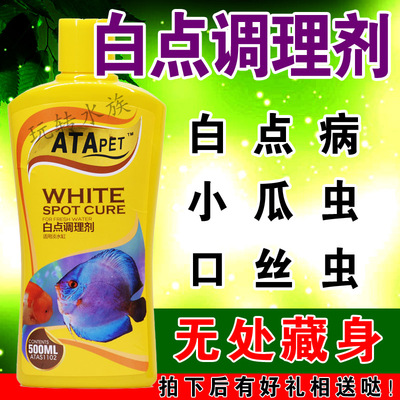 观赏鱼白点病治疗带专用鱼药