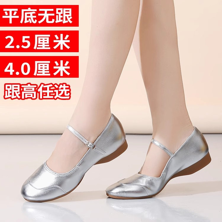 夏季广场舞鞋子女软底舞蹈鞋成人演出银舞鞋低跟帆布跳舞鞋练功鞋