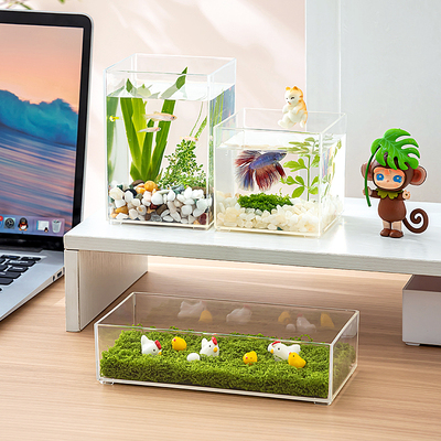 桌面水培容器种植盆栽生态绿植