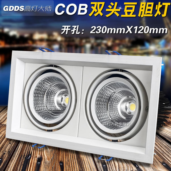 LED双头斗胆灯5w7w10w18w豆胆灯cob格栅灯射灯筒灯服装店吊顶全套