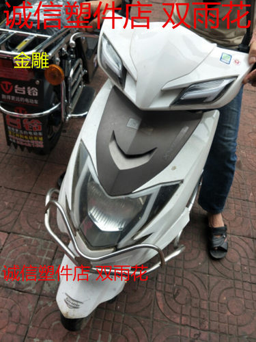 适用东南金雕电动车塑料件外壳灯具王派雅迪绿源电动车外壳原厂