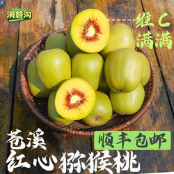 四川苍溪红心猕猴桃维C满满黄肉红心 【顺丰包邮】
