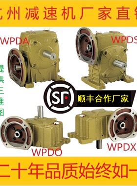 蜗轮蜗杆减速机WPDA/WPDS/WPDO/WPDX铁壳WP涡轮小型减速器齿轮箱