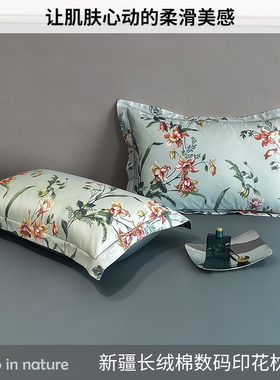 高支长绒棉全棉枕套单只装100纯棉枕头套单人48cmx74cm双人拍2