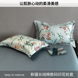 高支长绒棉全棉枕套单只装 100纯棉枕头套单人48cmx74cm双人拍2