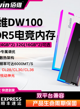 佰维DW100台式机内存条32G 48G 6000 DDR5时空行者rgb灯条C28