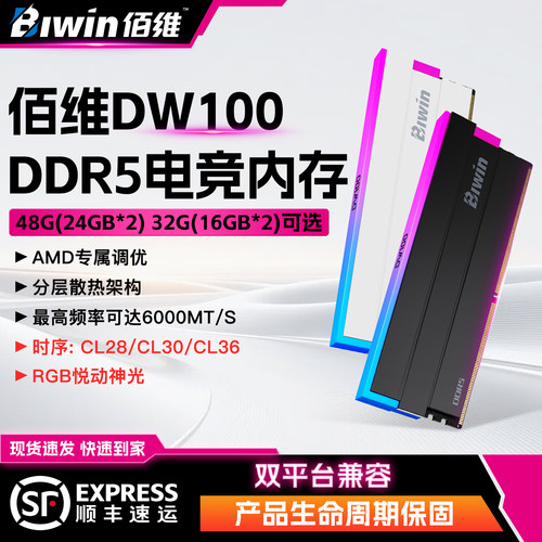 佰维DW100台式机内存条32G 48G 6000 DDR5时空行者rgb灯条C28