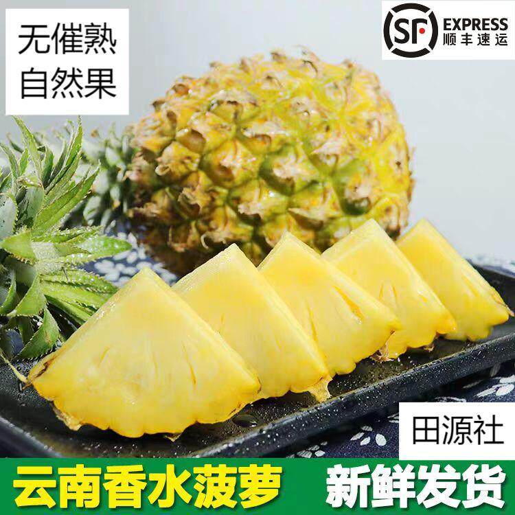 云南河口香水菠萝 无药水 不催熟 自然成熟 酸甜可口顺丰陆运包邮