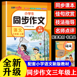 2025三年级上下册同步作文配套人教版满分作文金句素材积累每日一练写作起步思维导图专项训练3年级优秀作文金句彩图版一课一练Q