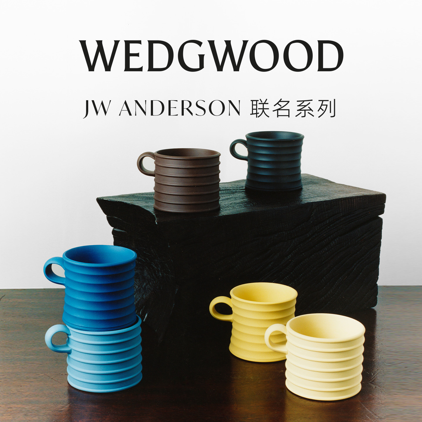 WEDGWOOD威基伍德JW ANDERSON联名马克杯浮雕玉石咖啡杯水杯礼盒