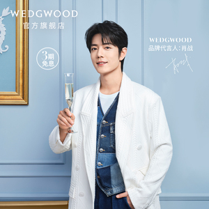 【肖战推荐】WEDGWOOD王薇薇Vera Wang爱之结绳香槟杯高脚杯酒杯