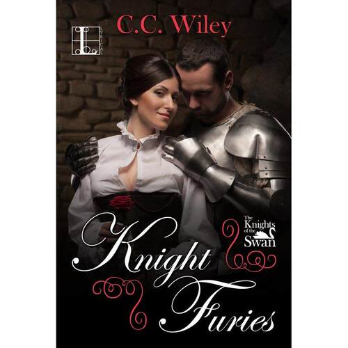 预售 Knight Furies企鹅兰登 英文原版