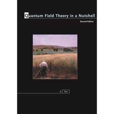预售 预订 Quantum Field Theory in a Nutshell量子场论