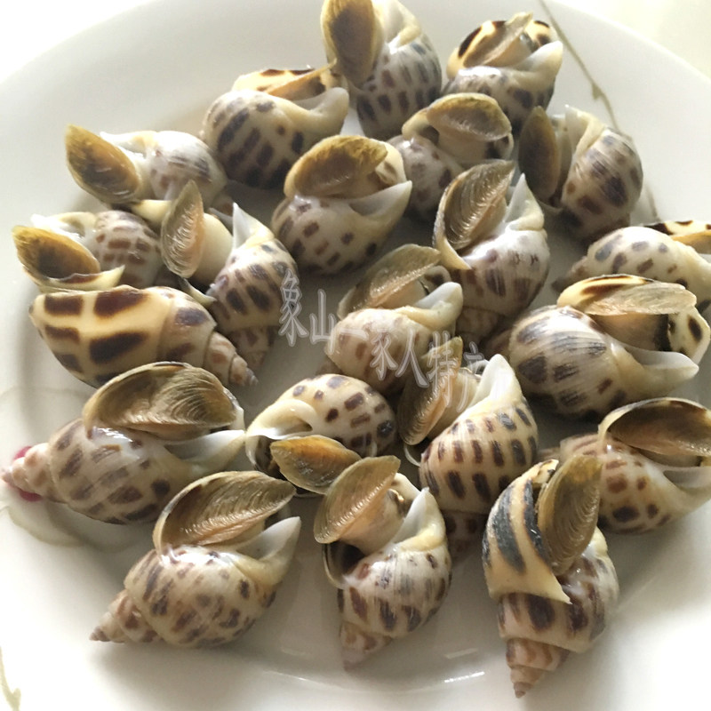 顺丰包邮限区宁波象山海鲜 醉花螺1.4斤东方螺 开瓶即食香螺