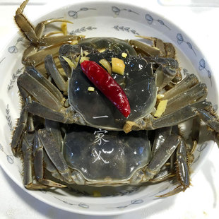 顺丰包邮个个有膏醉毛蟹大醉蟹12只酱毛蟹大闸蟹酱螃蟹0.8-1两/只