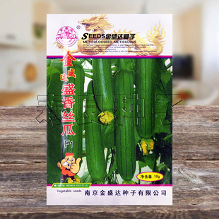 丝瓜种籽香丝瓜金盛达高产油亮短小四季盆栽农家蔬菜瓜果种子