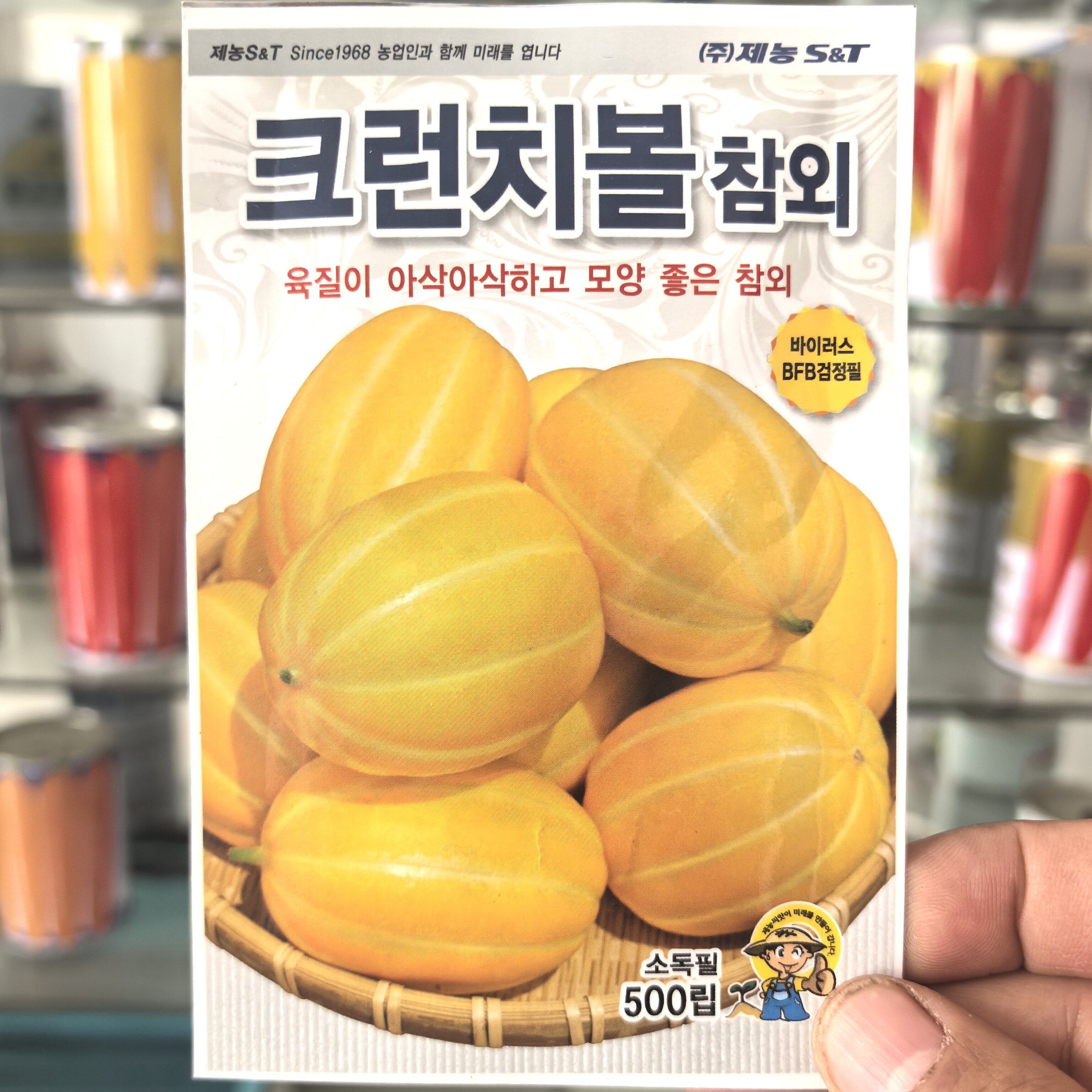 甜瓜种子黄金香瓜白肉厚条纹蜜瓜高产礼品型韩国原装水果种籽寿光