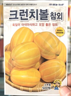 甜瓜种子黄金香瓜白肉厚条纹蜜瓜高产礼品型韩国原装水果种籽寿光