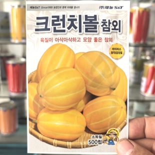 甜瓜种子黄金香瓜白肉厚条纹蜜瓜高产礼品型韩国原装水果种籽寿光